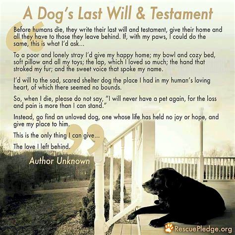 Browse the best friendship captions and sayings to add to your photos and create custom gifts too. A Dog's Last Will & Testament