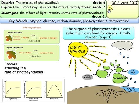 New Aqa Gcse Trilogy Biology Photosynthesis Required Practical Teaching Resources