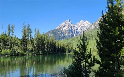 Download Wallpaper 2560x1600 Lake Mountain Trees Landscape