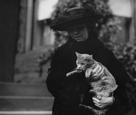 20 Lovely Vintage Photos Of Cats From The 1920s ~ Vintage