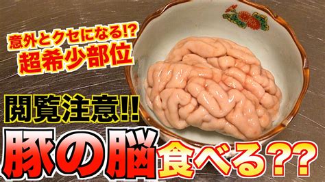 【超閲覧注意】グロいから嫌われる激ウマ部位ブレンズを食べてみた ニコニコ