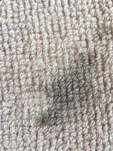 Mildew Carpet Stain Removal 310 736 2018 Revive Carpet Repair