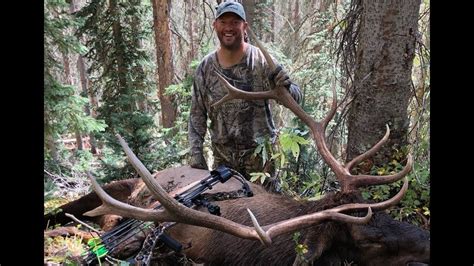 Colorado Archery Diy Elk Hunt 2018 Public Land Otc Tag Bugling Elk