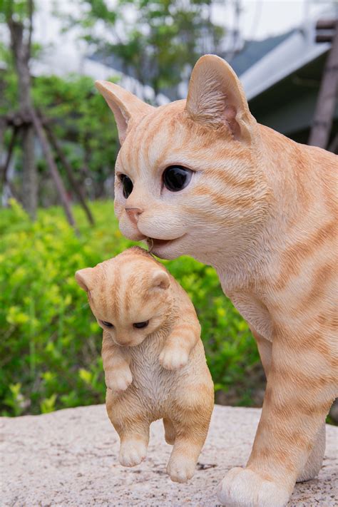 Mother Cat Carrying Kitten Orange Tabby