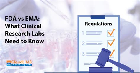 Meet The Fda And The Ema Regulatory Requirements Using A Laboratory