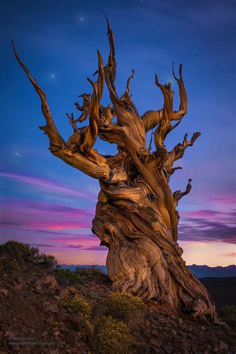 Fantastic Landscape Photography Makes Earth Look Like A Magic Dimension