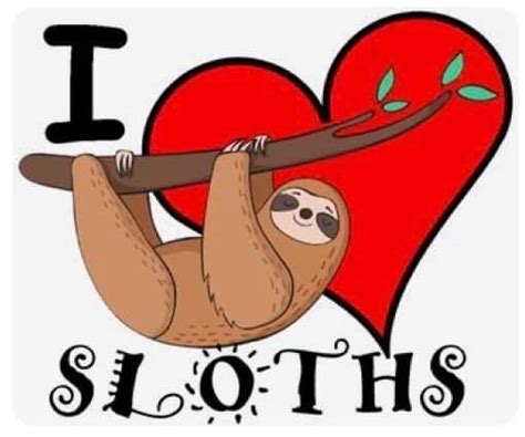 Pin On Meaning Sloths Holiday