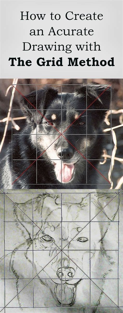 How To Create An Accurate Drawing Using The Grid Method Art Tutorials