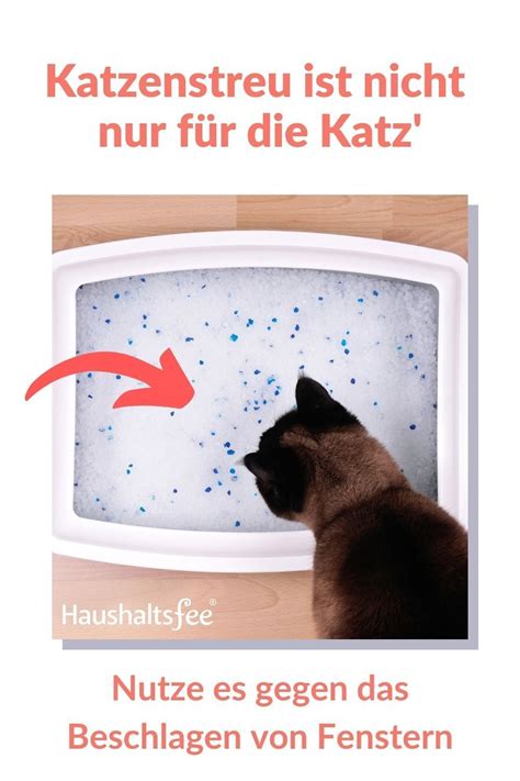 Beschlagene scheiben weisen immer auf kältebrücken oder eine generell unzureichende dämmwirkung der fenster hin. Wenn die Fenster von innen beschlagen: 7 + 1 Tipps, die ...