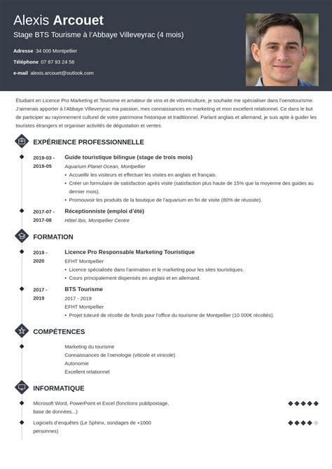 CV Stage Exemple Pour Une Demande Professionnelle