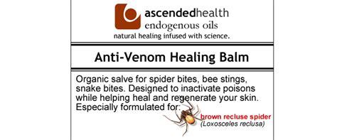 Natural Treatment For Spider Bites Captions Update Trendy
