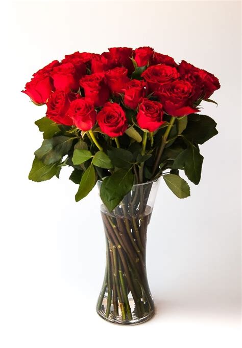 Rapsody Of Love 24 Roses Bespoke Bouquet