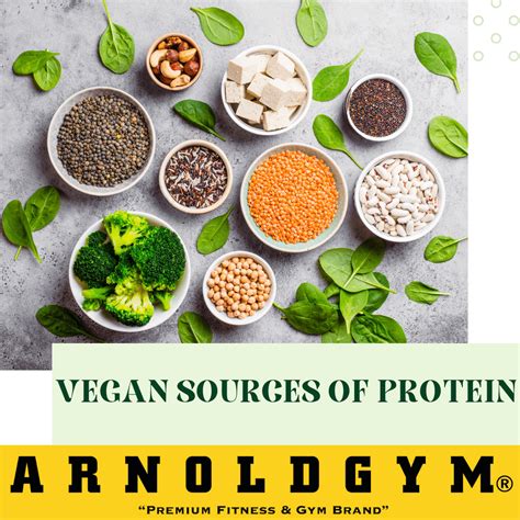 Top 10 Vegan Protein Sources For Bodybuilders Arnold Gym Gear