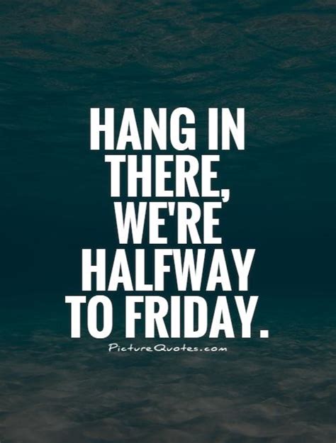 hang it there funny quotes quotesgram