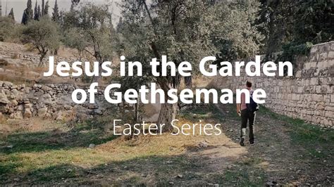 Jesus In The Garden Of Gethsemane Scripture Agony In The Garden Amy