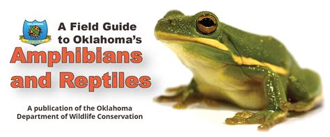 Amphibian And Reptile Guide Custom Made For Oklahoma Oklahoma