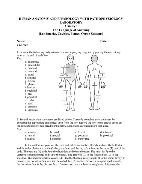 Activity Part Medtech Human Anatomy And Physiology With