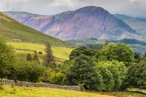 Lorton Walk Lorton Vale Walks High Lorton Walk Lake District Walks