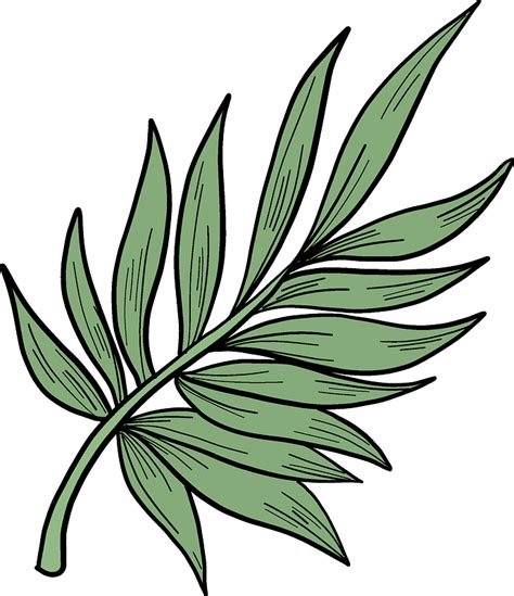 Single Palm Leaf Clip Art