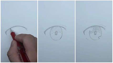 cara menggambar mata anime lengkap dengan beberapa tips supaya pemula tak kesulitan