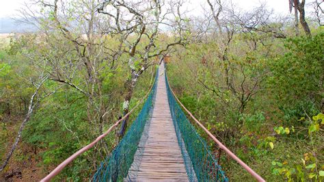 Visitez Bonito Le Meilleur à Bonito État De Mato Grosso Do Sul En