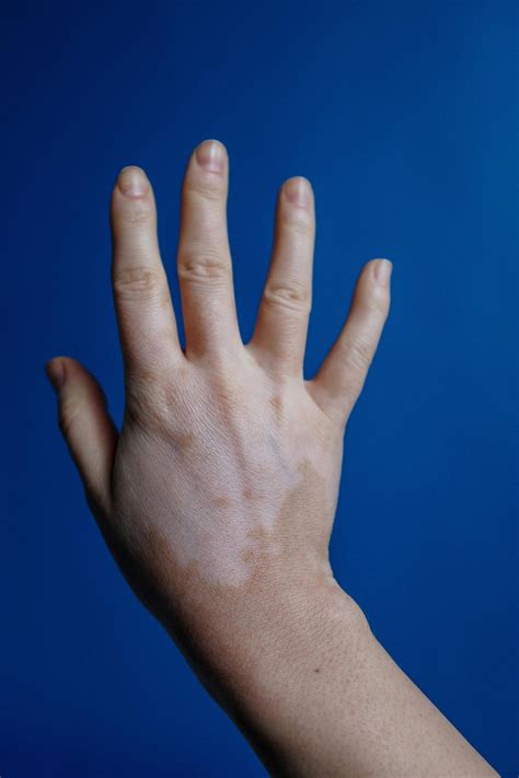 Photo Of Persons Hand · Free Stock Photo