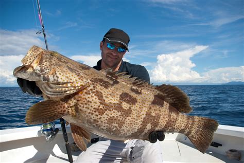 Services Of Deep Sea Fishing Charters Bring Home Your Catch