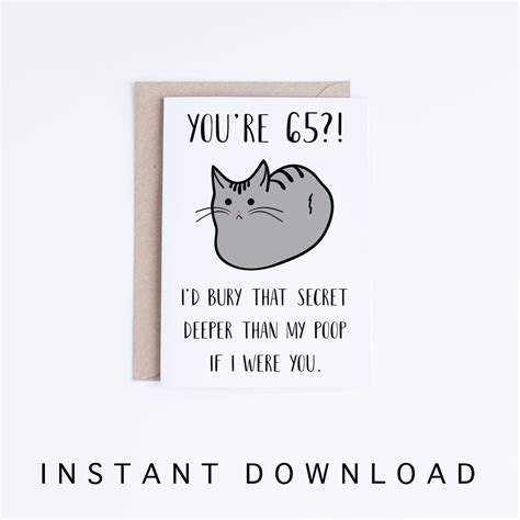 Funny 65th Birthday Cards Printable Cat 65 Birthday Card Etsy