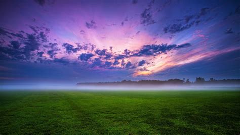 Misty Sunrise In Meadow 4k Ultra Hd Wallpaper