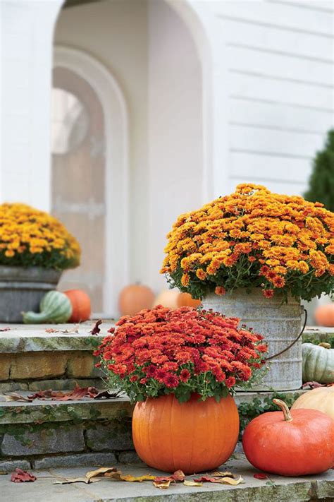 Gorgeous Fall Flower Garden Ideas