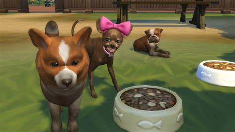 The Sims 4 All Dlc Cats And Dogs Paseforall