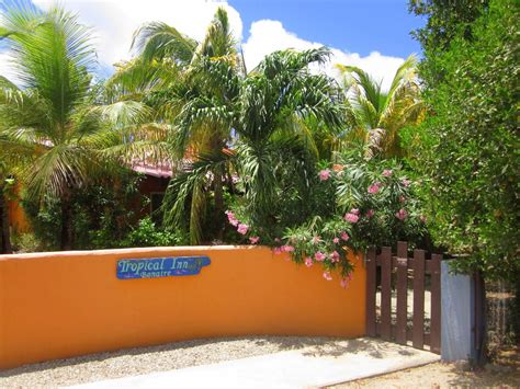 Serving a selection of food los arbolitos 1, la nana. Karibik - Bonaire - Tropical Inn - Hotel | Nautilus ...