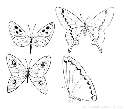 Illustration of a monarch butterfly life cycle. Butterfly Life Cycle Coloring Page at GetColorings.com ...