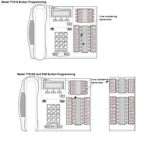 Does not support the t24 kim module. T7316E button numbering - Nortel: Norstar systems - Tek-Tips