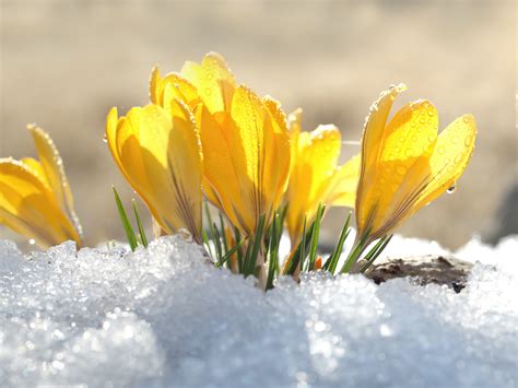 20 Reasons Why Spring Is The Best Season Of The Year