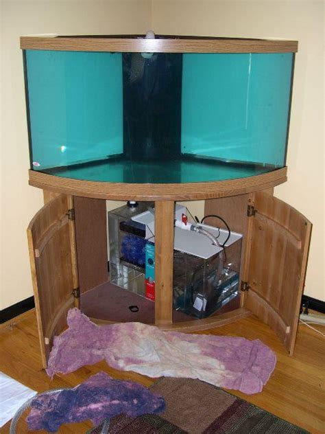 Salzwasser Aquarium In Einfachen Schritten Point Pet