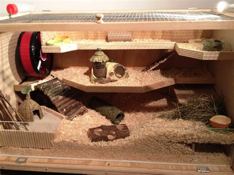 Two new campbell's dwarf girls have moved in on sunday. Build your own hamster cage - photo guide | BABBLEPIE