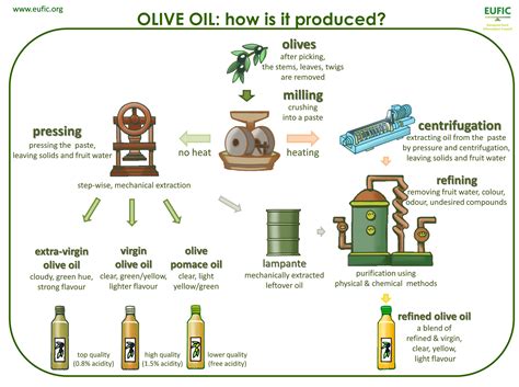 Olive Oil Infographic Eufic