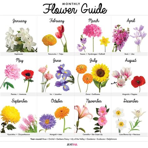 A Visual Guide To Wedding Flowers By Month Floral Arrangements
