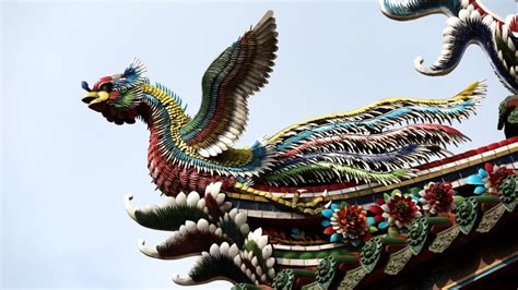 Meaning Of The Chinese Dragon And Phoenix