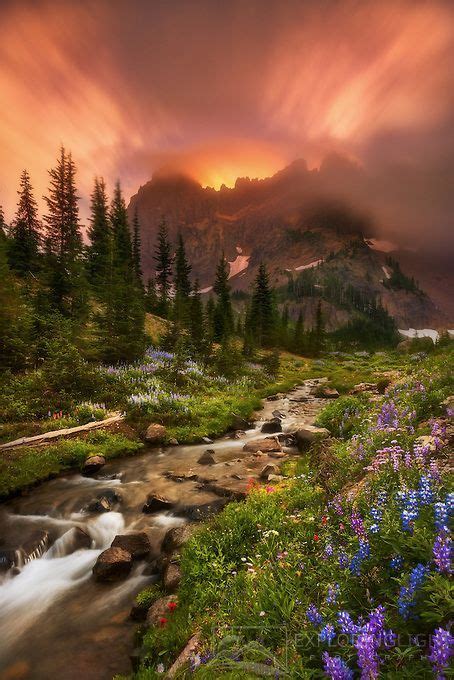 A Mountain Stream Runs Amidst Wildflowers During A Fiery Display At