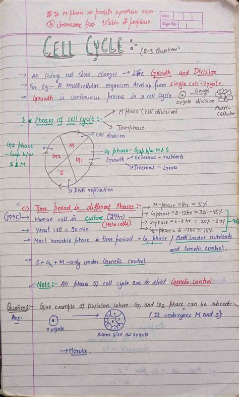 Chapter-10: Cell Cycle and Cell Division class 12 Biology notes for