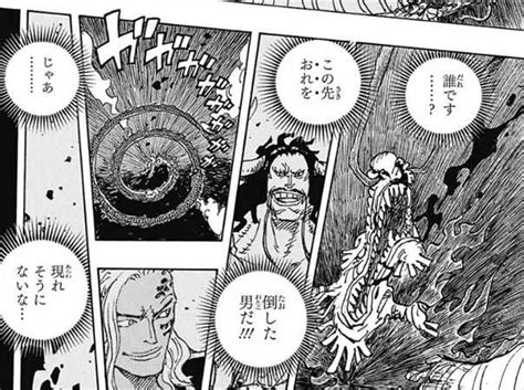 ワンピース最新1049話ネタバレ感想カイドウの衝撃過去ルフィ勝利ONE PIECE1050話予想 ドル漫