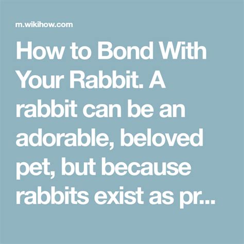 How To Bond With Your Rabbit A Rabbit Can Be An Adorable Beloved Pet