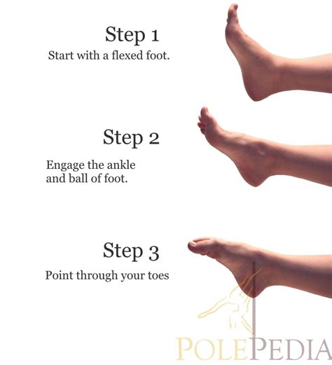 How To Point Your Toes Achieve A Better Arch Polepedia