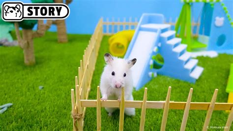 Hamster Playground The Wax Village 🐹 Hamster Swing Slide Tunnels