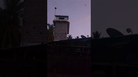 Edelweis, penduduk asli menyebut dengan tanono layu, berasal dari bahasa sansekerta, berarti tak akan layu. Sp bunga Edelweis tahun 2015 - YouTube