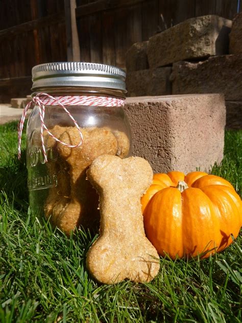 Pumpkin And Peanut Butter Flavored Dog Treats 6 Steps With Pictures
