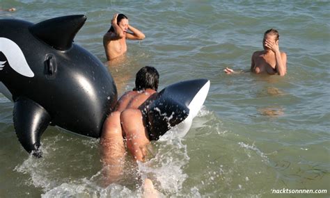 Nackt Schwimmen Mit Dem Killerwal FKK Bilder Und Fotos