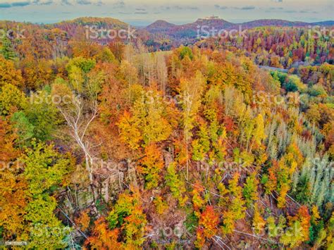 Aerial View Above Autumn Forest In Wartburg Stock Photo Download